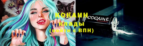 a pvp Богданович