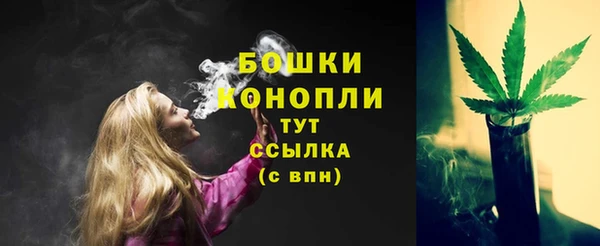 сатива Богородицк