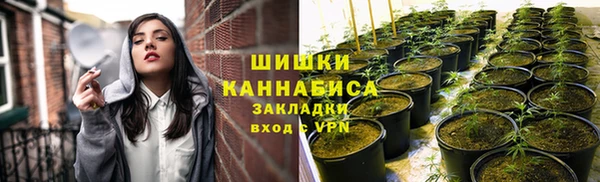 сатива Богородицк
