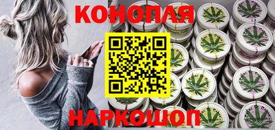 крисы Новокубанск