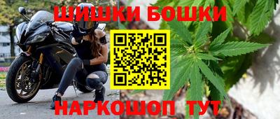 крисы Новокубанск