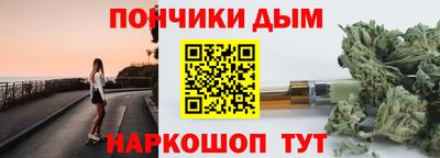крисы Новокубанск