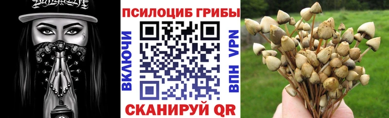 ОМГ ОМГ ссылка Армавир Галлюциногенные грибы прущие грибы наркотики