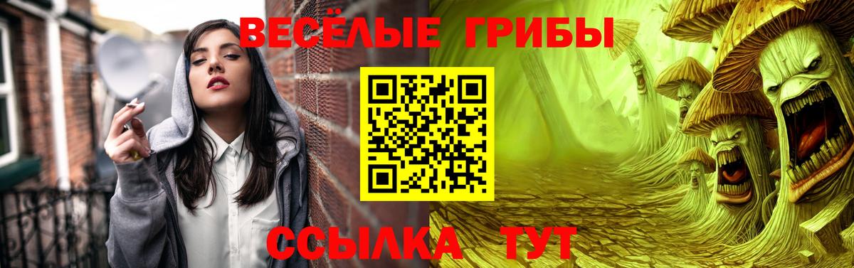 Галлюциногенные грибы MAGIC MUSHROOMS  Вход с VPN  Армавир 