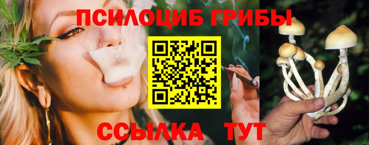 Псилоцибиновые грибы GOLDEN TEACHER Армавир