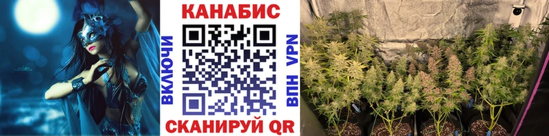 гидра онион  Армавир  Каннабис OG Kush 